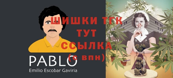 мдма Медвежьегорск