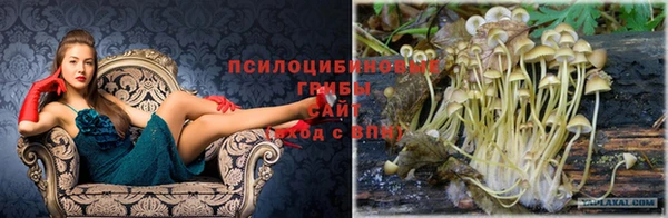 мефедрон Медногорск