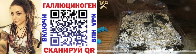 Галлюциногенные грибы Psilocybine cubensis  кракен как войти  Щёкино 